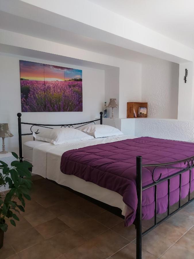 Etoilevacances Chambres D Hotes Campagne En Lavande Saint-Cézaire-sur-Siagne エクステリア 写真